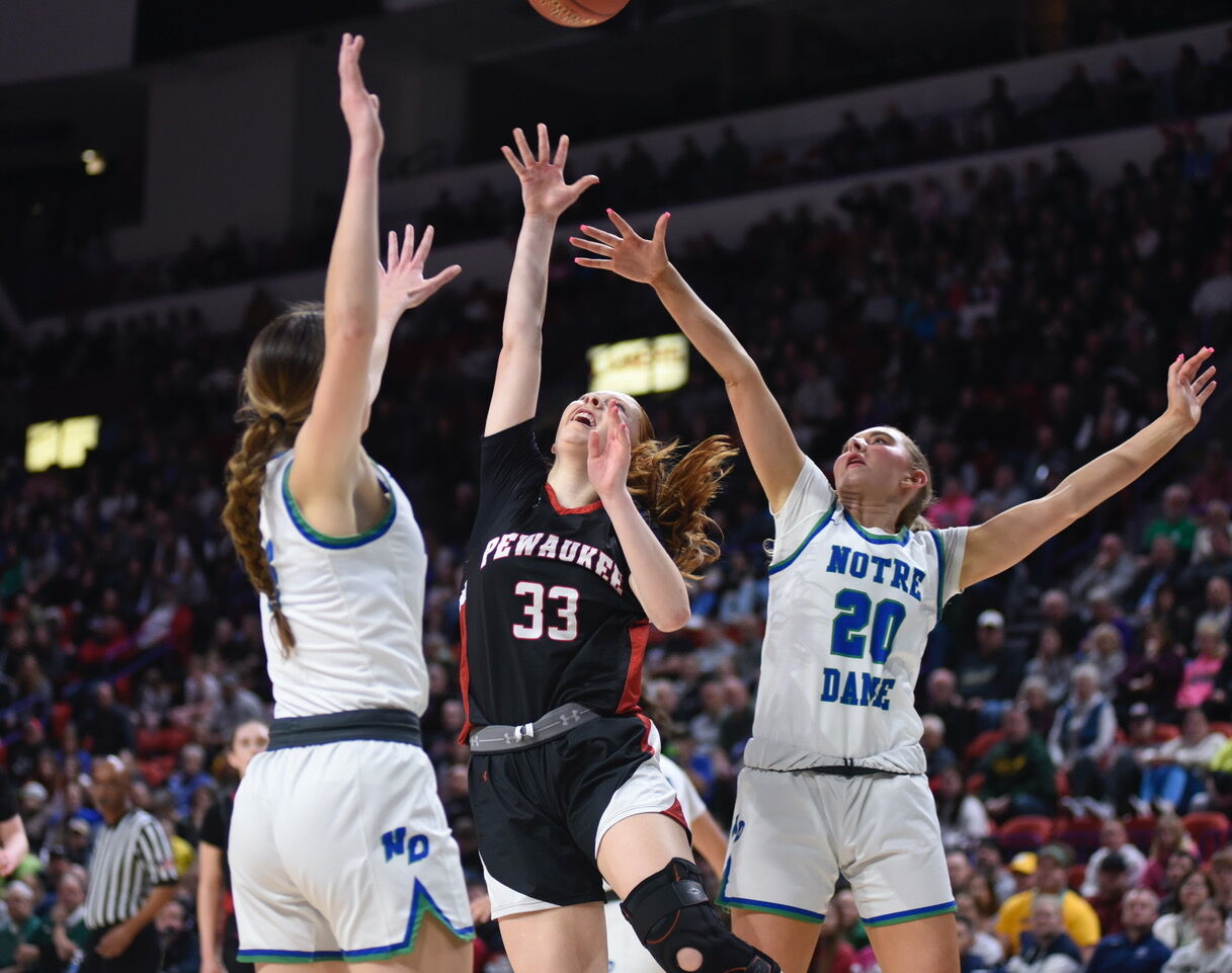 Pewaukee Girls Make History with Division 2 State Championship Win