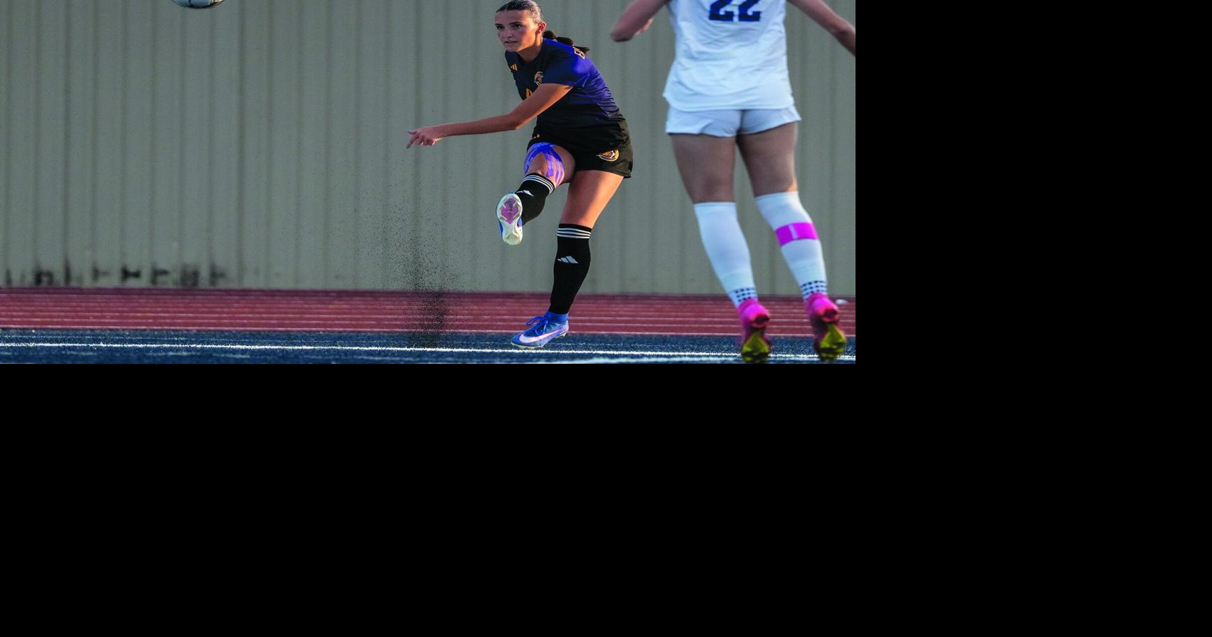 Schauer leads Lions to state in first year
