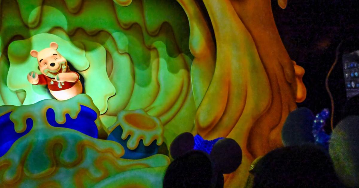 Pooh Ride Home Made Will Disneyland replace Winnie the Pooh ride in Bayou Country? | Travel ...