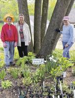 Cedarburg Garden Club’s annual plant sale is Saturday