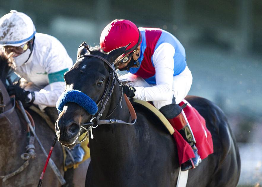 Medina Spirit wins Lewis, gives Baffert a Ky Derby hopeful | Sports | gmtoday.com