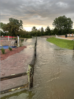 Stingers re-opens one day after flood waters cover property