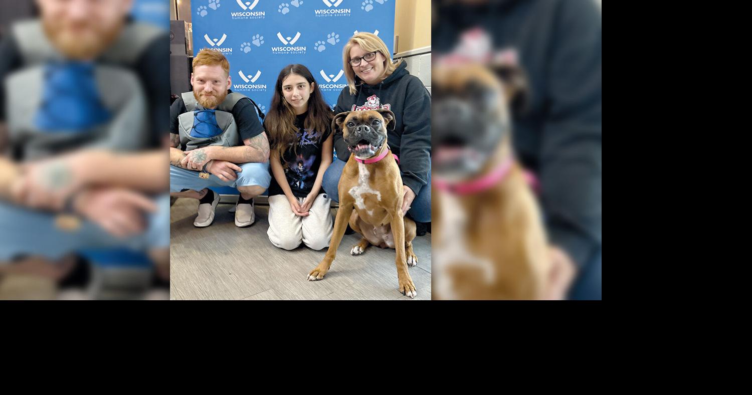 Missing dog for two years reunited with Pennsylvania family