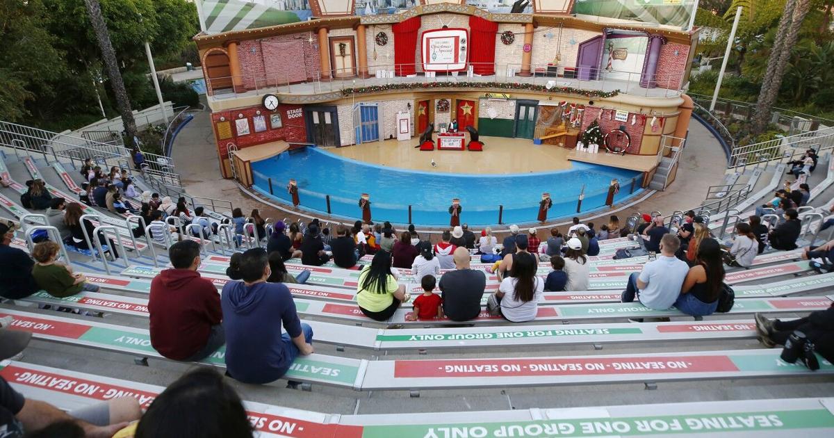 SeaWorld at 60: It survived ‘Blackfish’ and COVID. Where San Diego’s biggest theme park is headed now | Travel SeaWorld at 60: It survived ‘Blackfish’ and COVID. Where San Diego’s biggest theme park is headed now | Travel