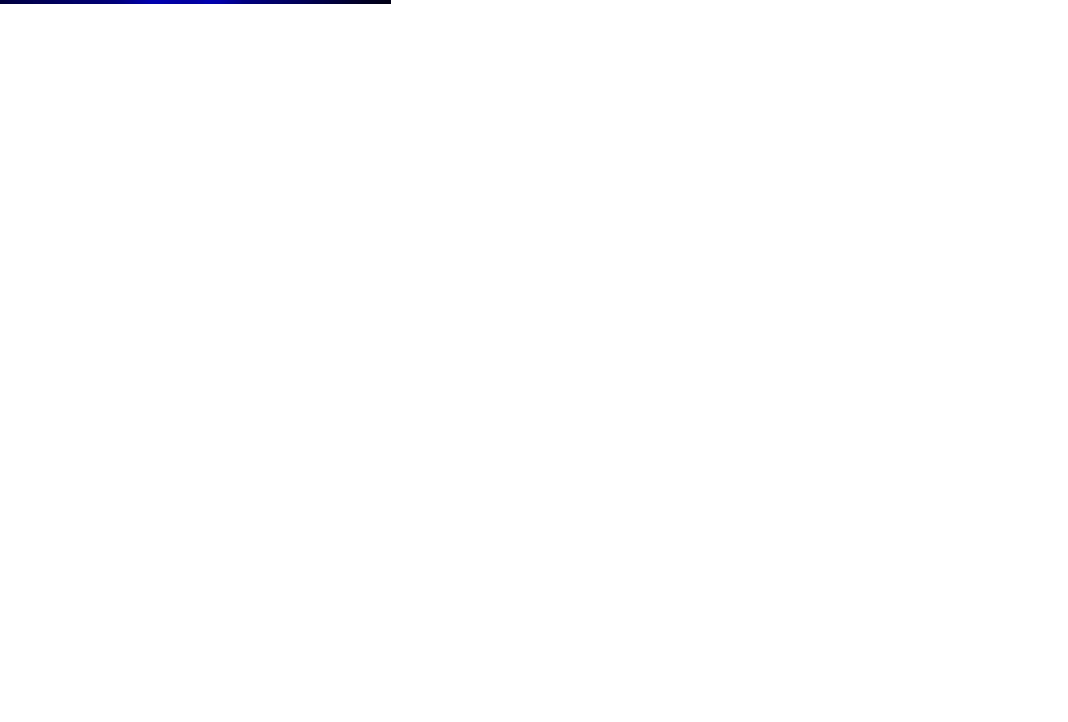 Police lights night