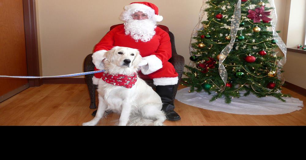 Say 'dog biscuit!' Business