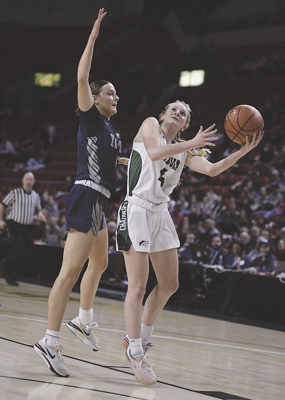 Makenzie Luehring Leads KML to WBCA D3 All-State and Academic Honors