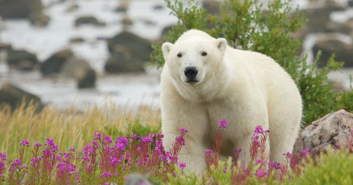 Family travel 5: Canada chock full of sights and delights | Travel Family travel 5: Canada chock full of sights and delights | Travel