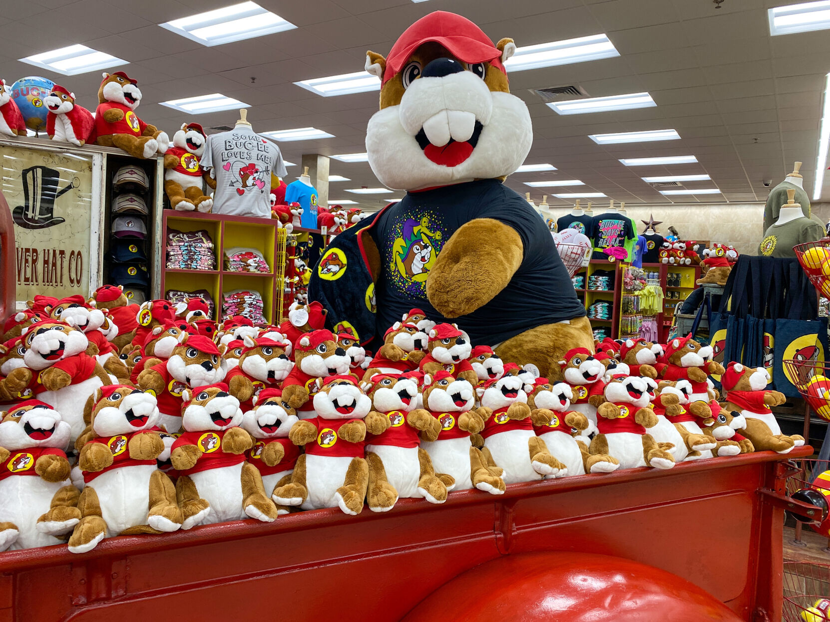 Buc best sale ee's plush