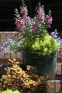 Gardening Gmtoday Com