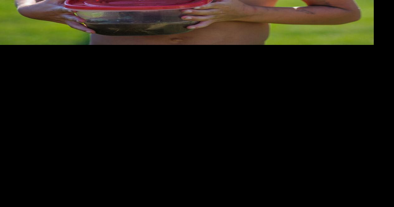 Jumping frogs galore and more Dousman Derby Days returned on Saturday