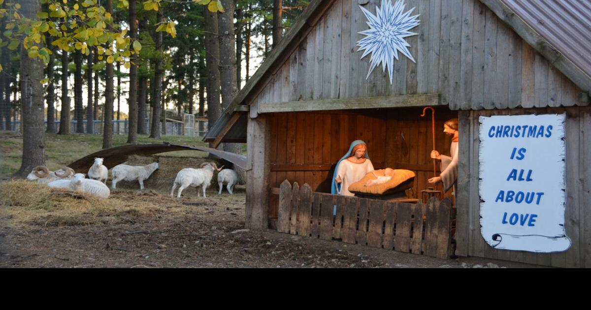 Shalom Zoo all set for Christmas Washington Co. News