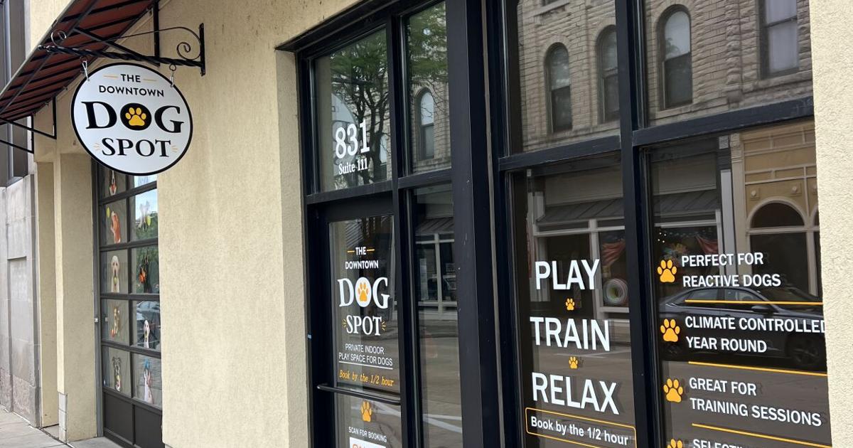 Indoor dog play space opens in Waukesha