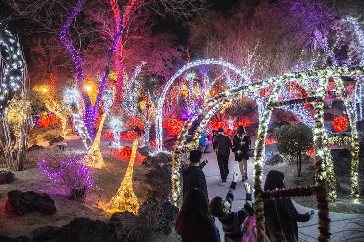 Valentine's Day lights returning to Ethel M Chocolates Cactus Garden in Las  Vegas | Travel | gmtoday.com