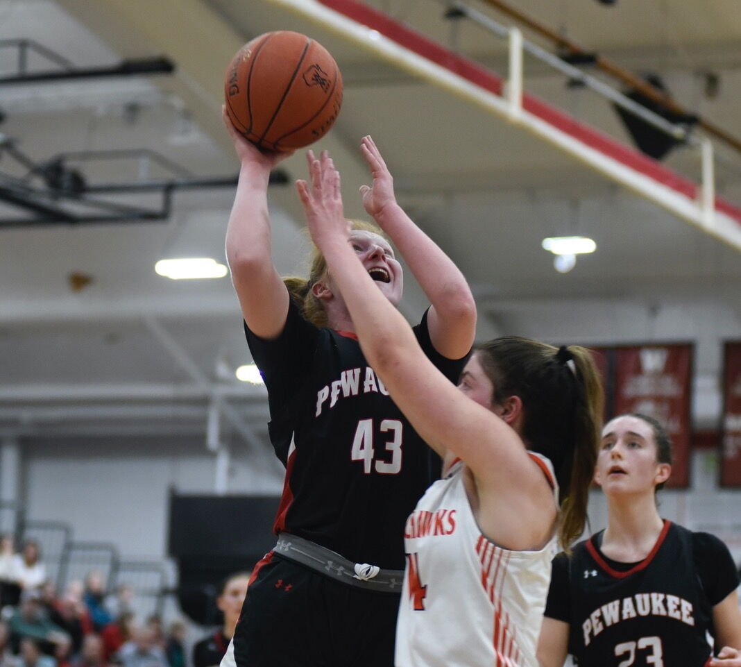 Pewaukee vs. Notre Dame: Clash for WIAA Girls Basketball Title
