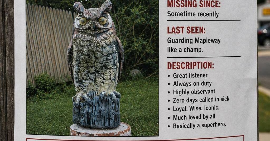 The great owl caper