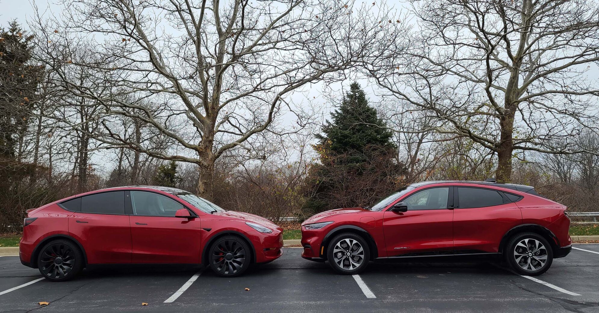 Ford mach store e tesla