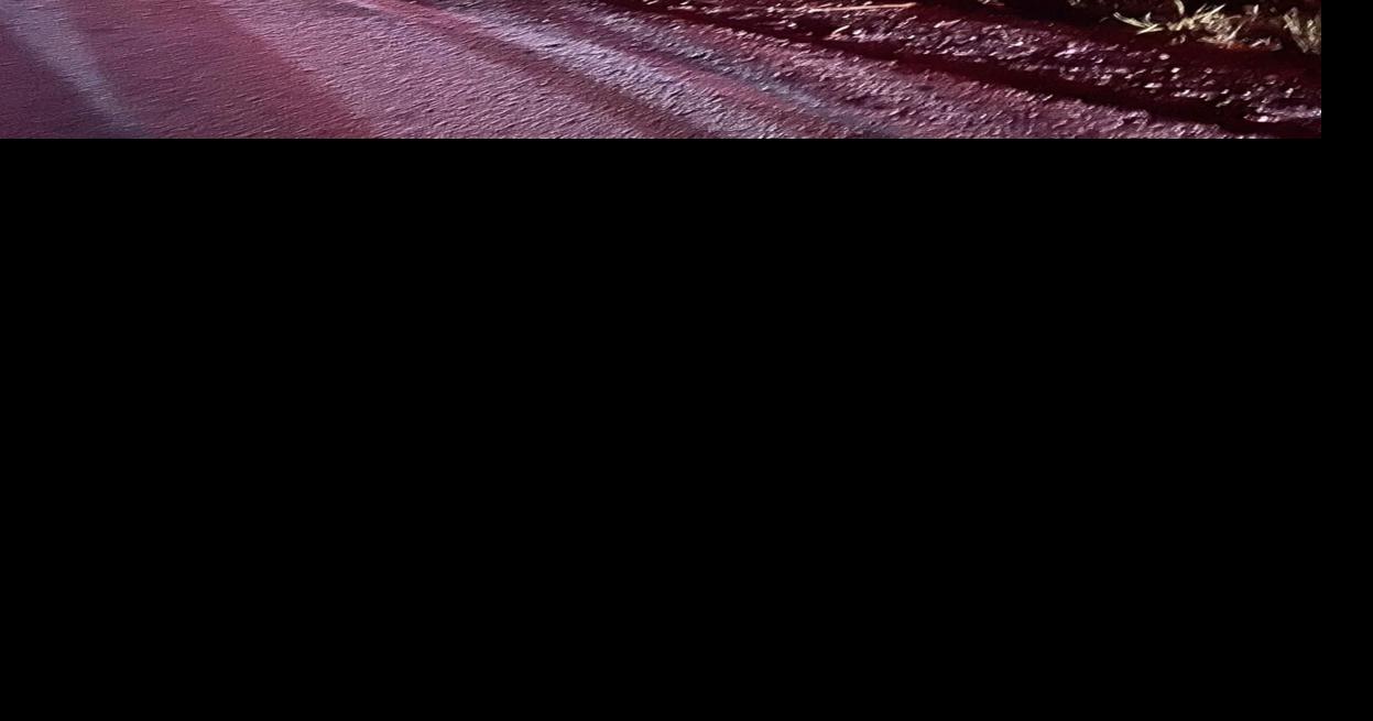 Person in stable condition following Tuesday night car fire in Village