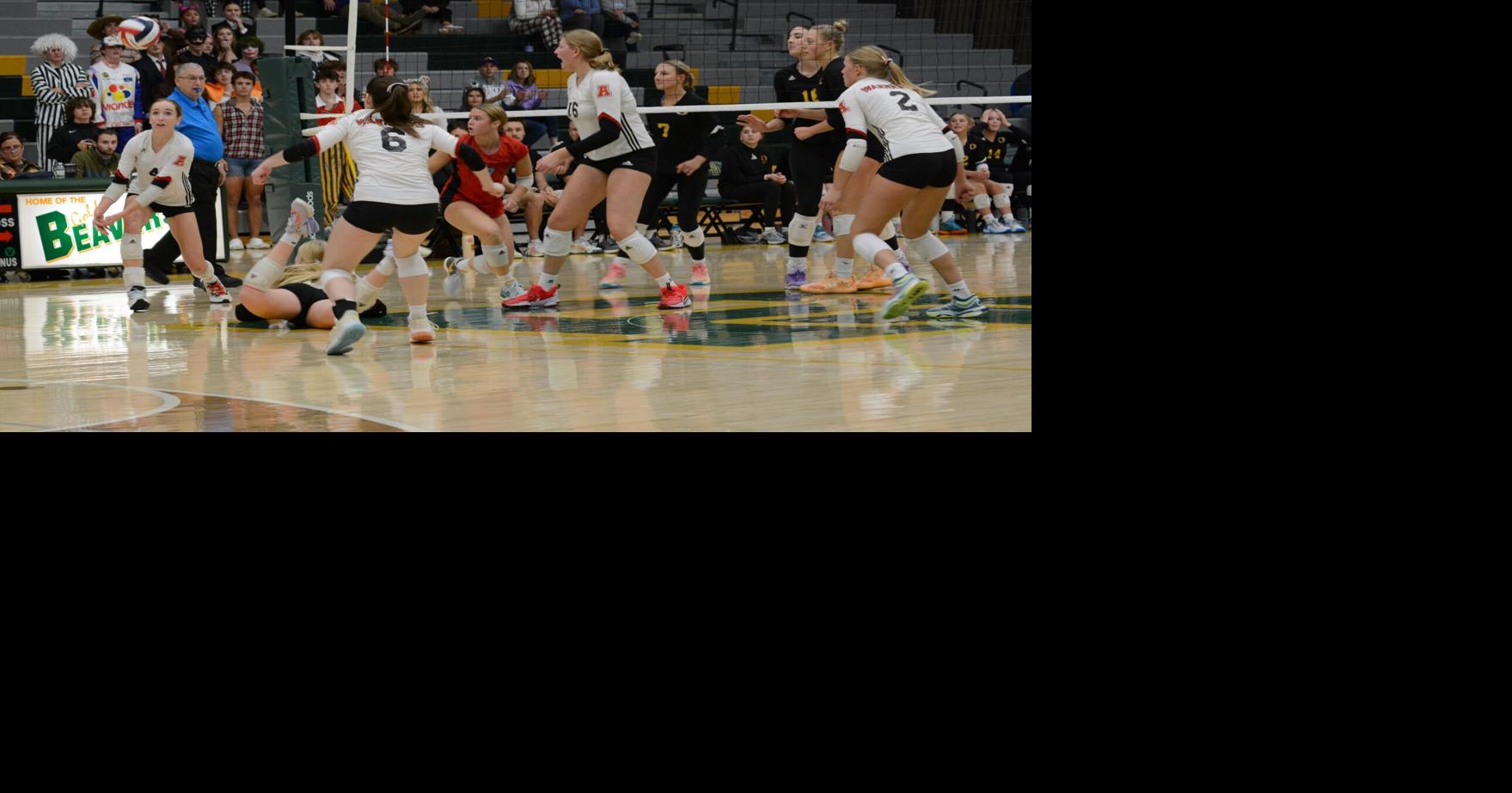 Raccoons rally from first-set loss to reach state | Waukesha Co. Sports ...