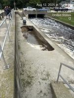 Merton Millpond at high potential for failure