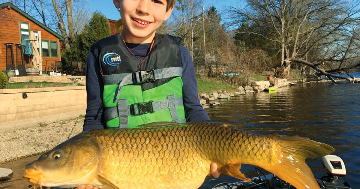 ‘Maybe just donate them to a pet store’: Young fisher said too many goldfish and koi found in local waters