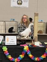 Wisconsin Cat Show returns to Expo Center on Saturday
