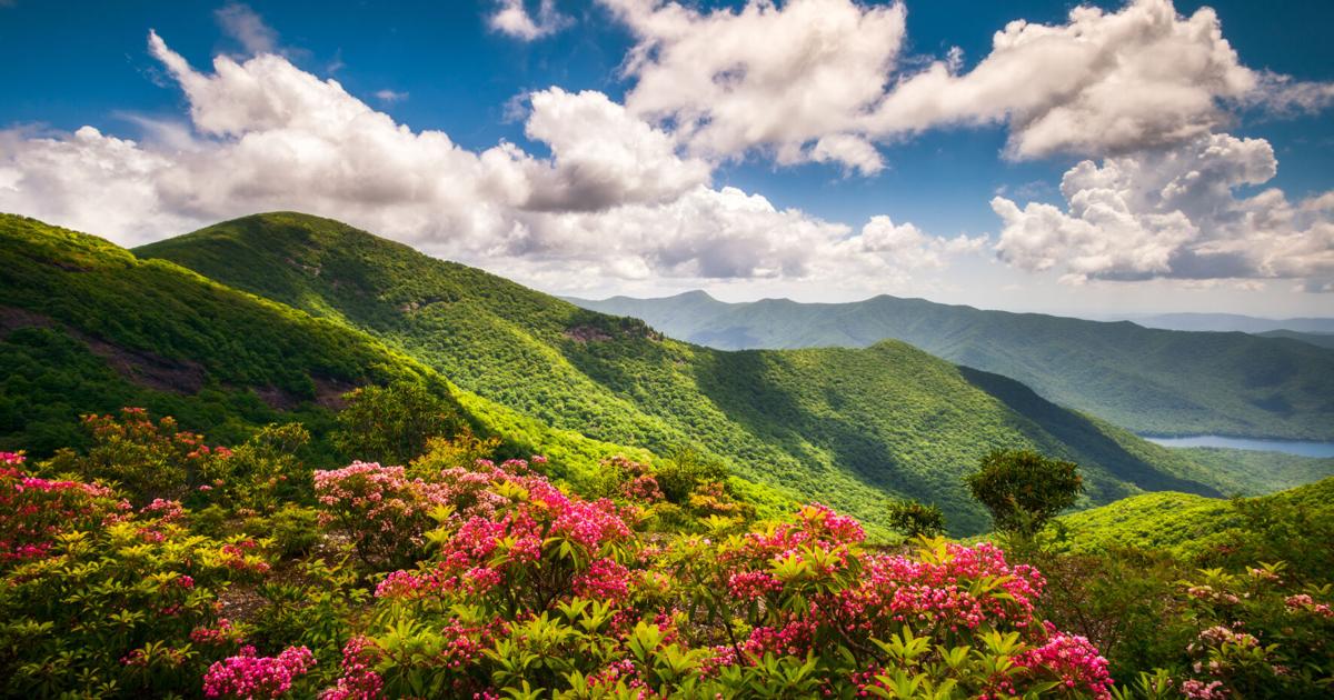9 family-friendly trips to take to the NC mountains this spring, summer and fall | Travel 9 family-friendly trips to take to the NC mountains this spring, summer and fall | Travel