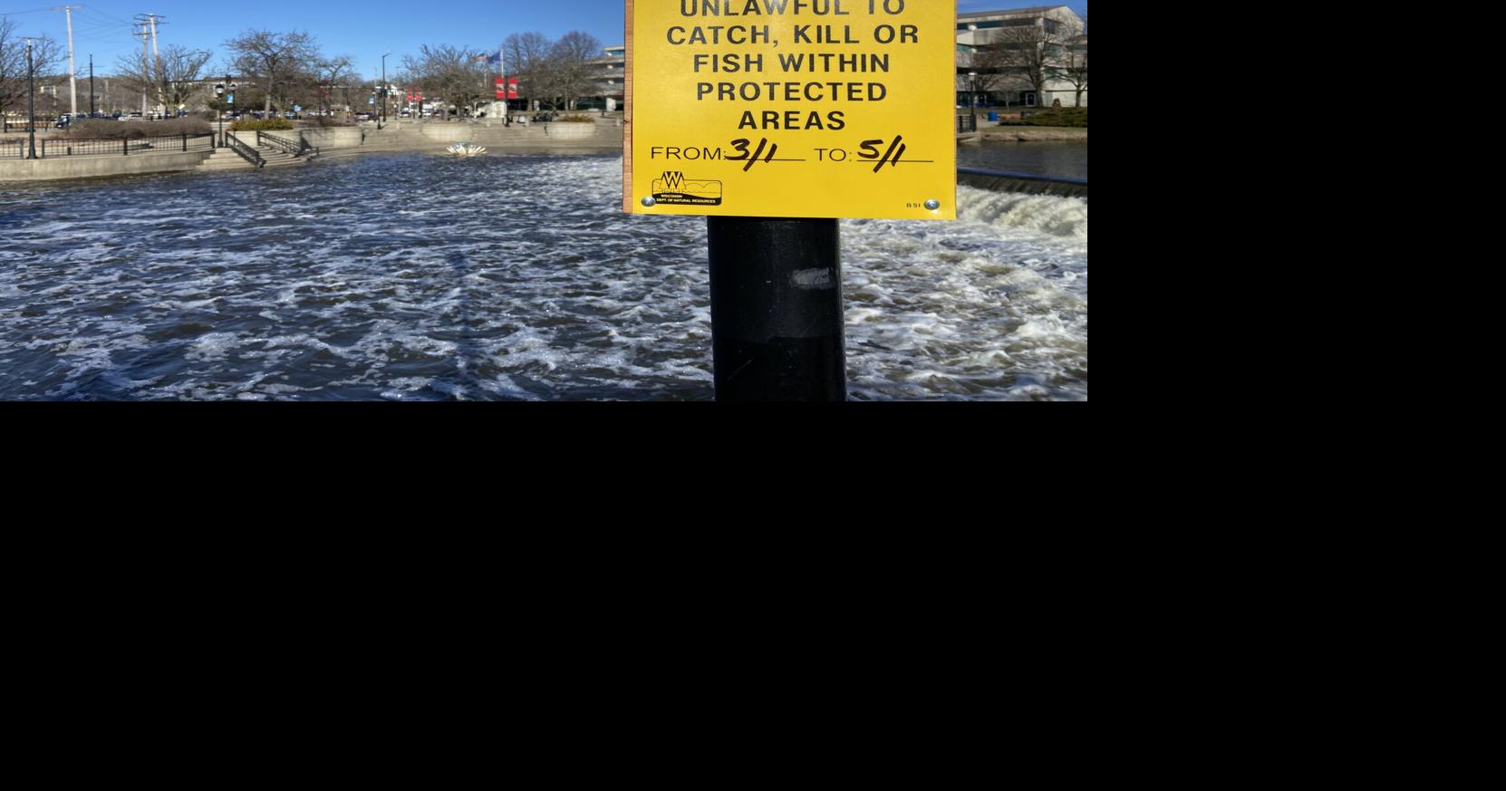 New fish refuge in Waukesha through May 1 | Waukesha Co. News | gmtoday.com