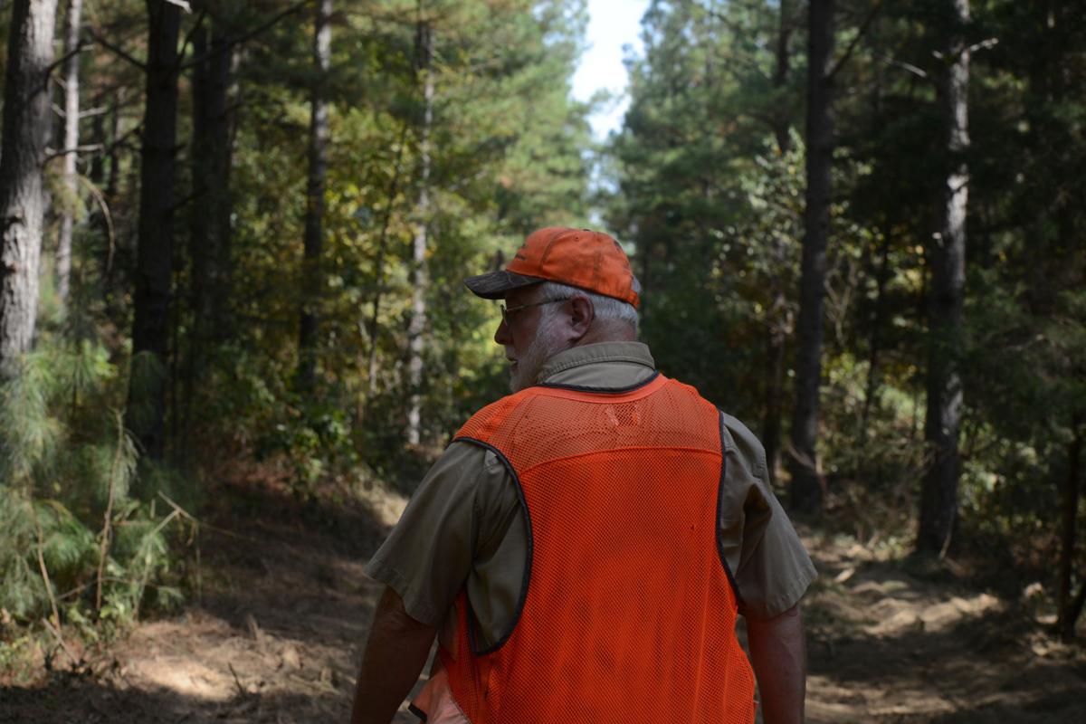 Forestry