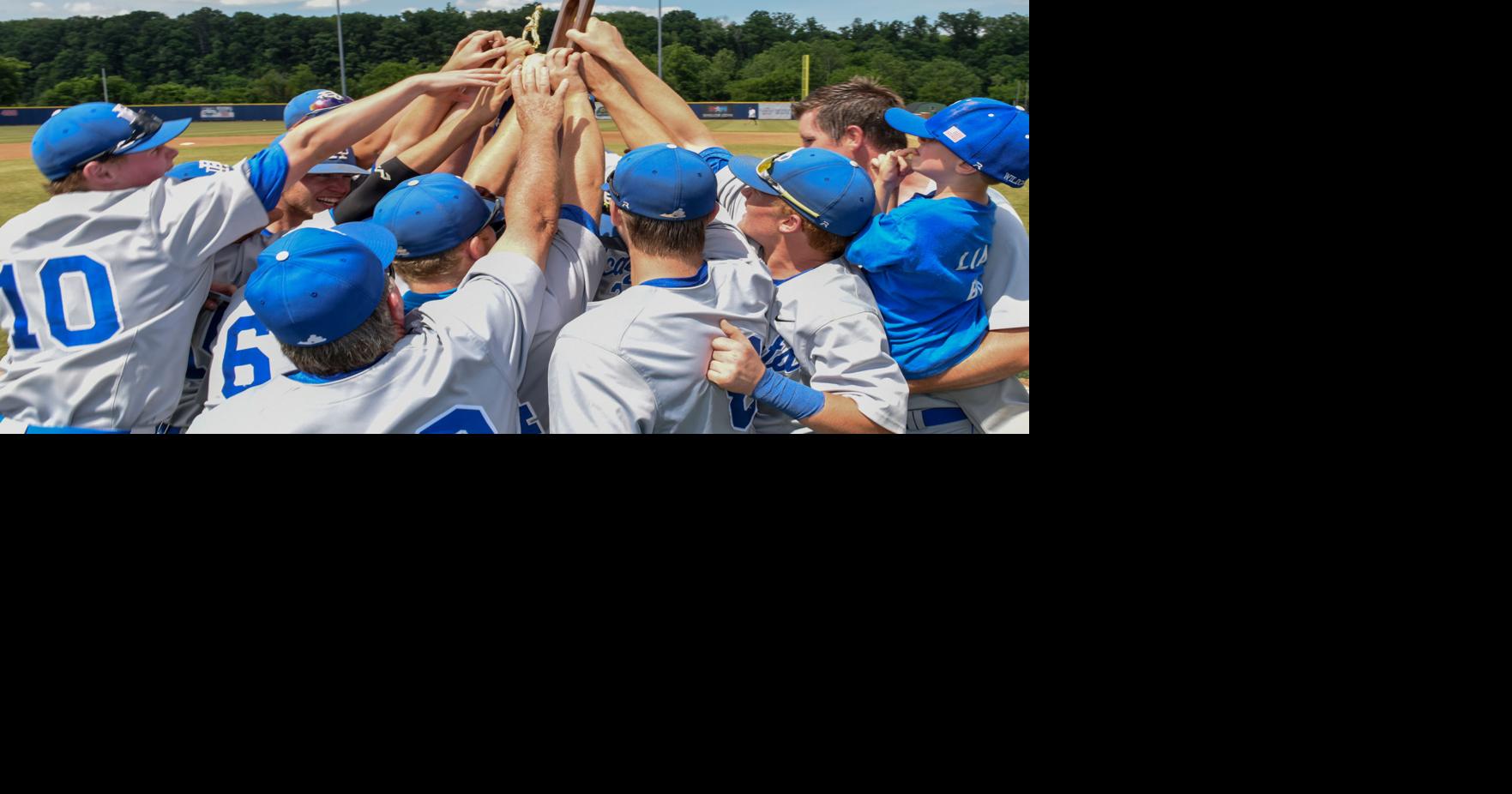 Dan River Wildcats look back on championship-winning 2017 team