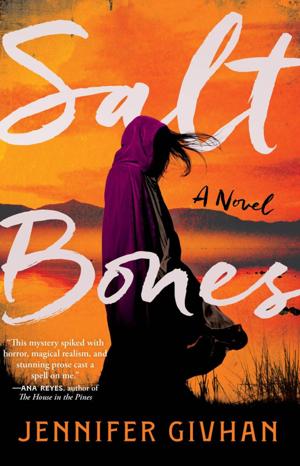 Jennifer Givhan’s ‘Salt Bones’ addresses the silence around missing women