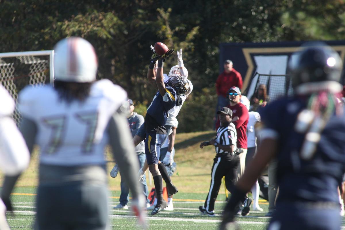 Averett Defense Rebounds In Win Against Maryville Business