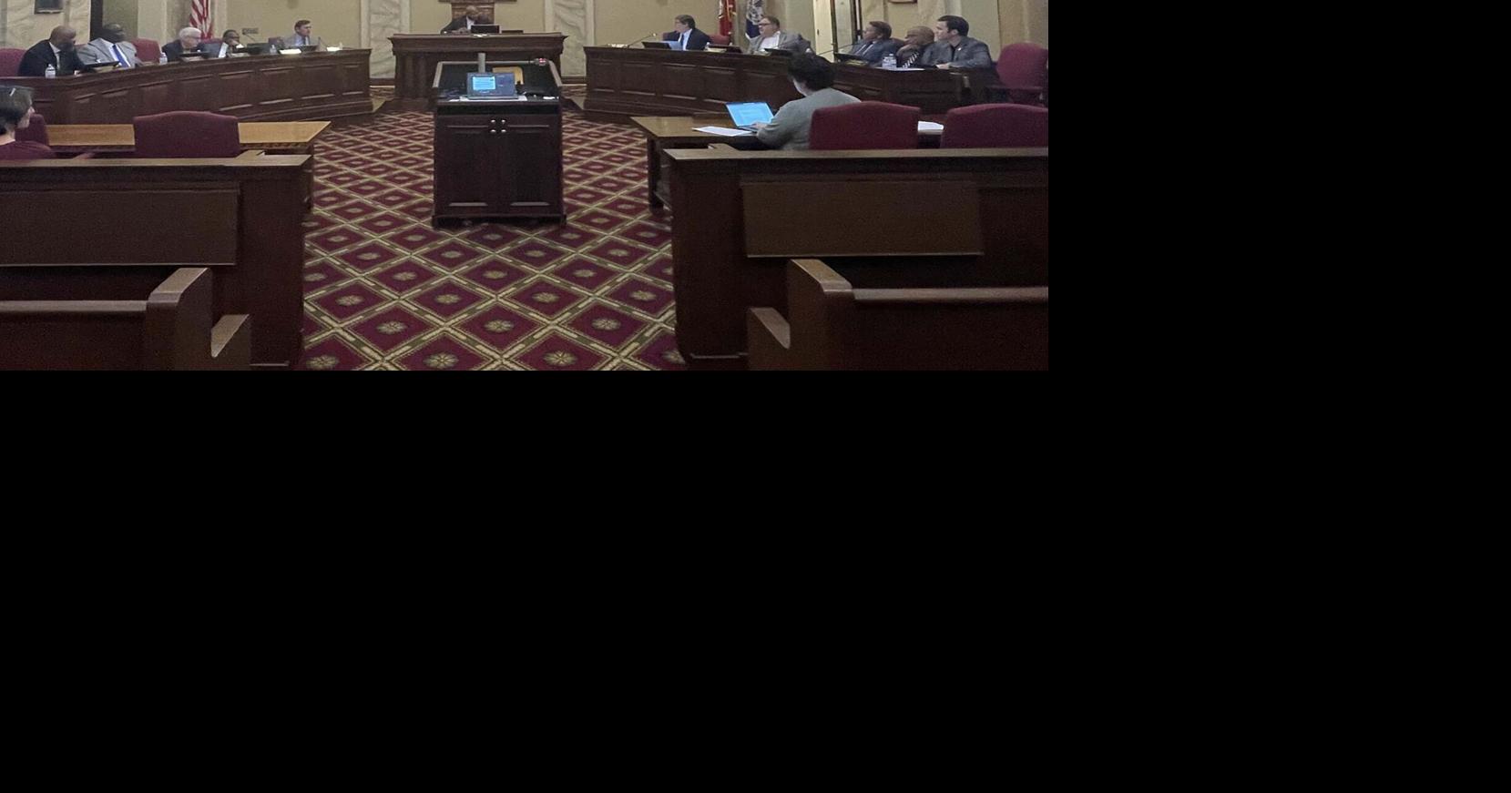 Danville denies one Airbnb request, approves others