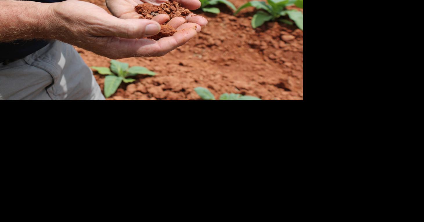 Even if drought evaporated, other problems plague Pittsylvania farmers