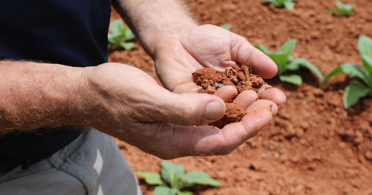 Even if drought evaporated, other problems plague Pittsylvania farmers
