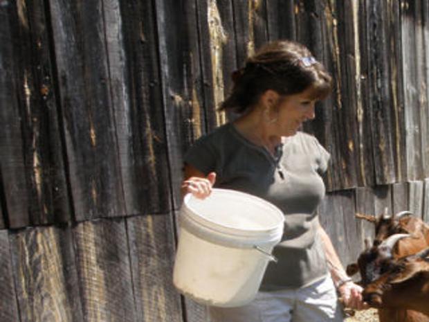 Spanish Goats A Nice Fit For Halifax County Farm Godanriver Com