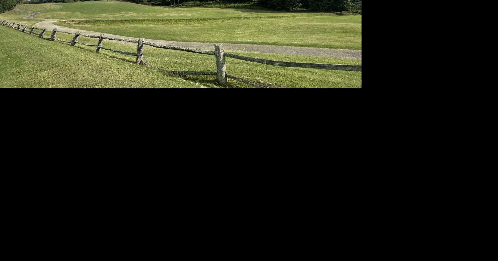 Danville Goodyear confirms it plans to sell 500 acres, including golf course