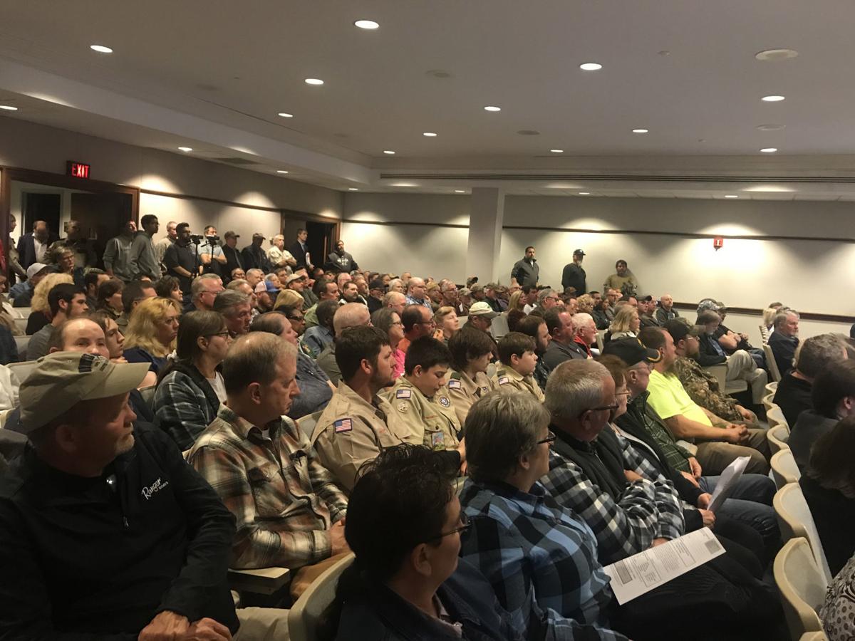 Second Amendment Sanctuary