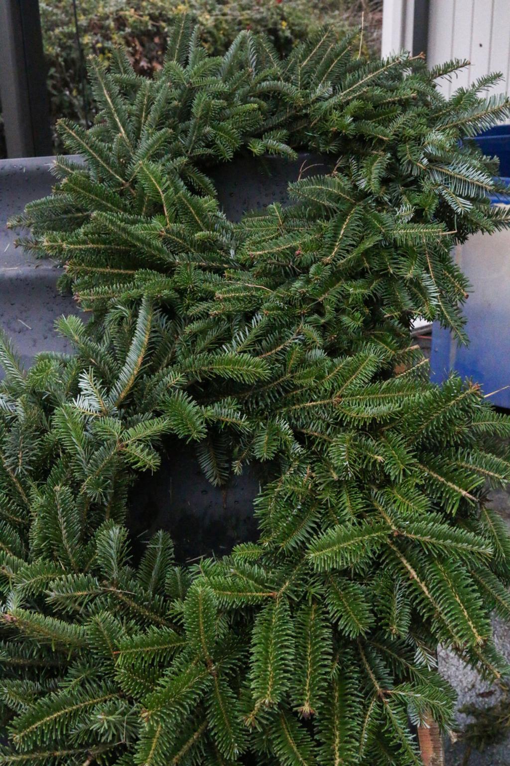 Christmas Tree Sales Steady In Dan River Region Business News Godanriver Com