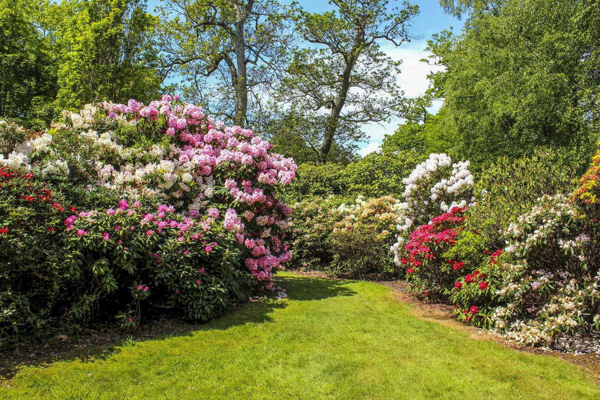 In The Yard Questions And Answers For Fall Gardening Home Garden Godanriver Com