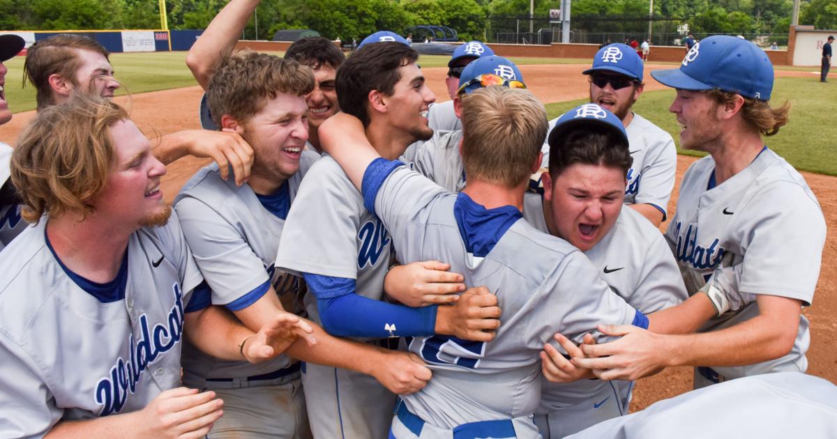 Dan River baseball captures 2A state championship in walk-off fashion
