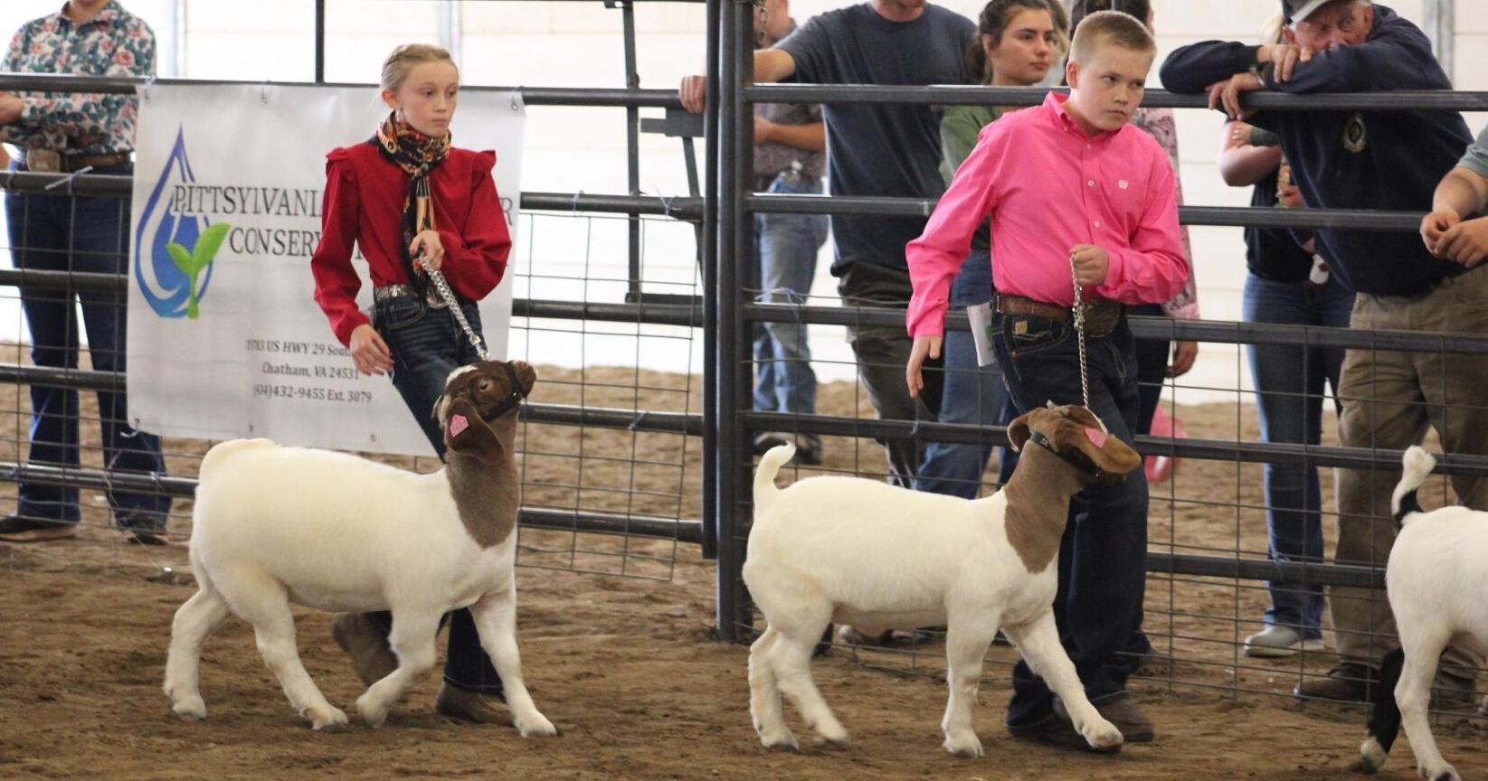 Photos: Dozens of children show off livestock at show - Vimarsana News