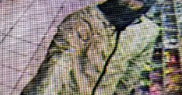 Daniel Rutherford Robbery Police: Danville robbery suspects armed with machete, gun
