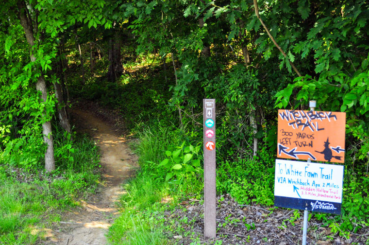 danville mountain bike trails