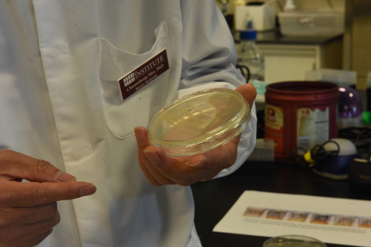 Science, bacteria and recycled clothes at the Institute for Advanced