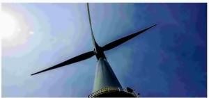 Trump administration pauses Dominion wind farm