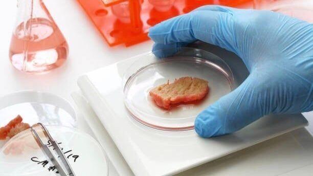 Here's how the first bite of 'cell-cultivated' meat tastes 6495a90d11ce3.image