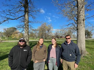 Ballou Park tree project