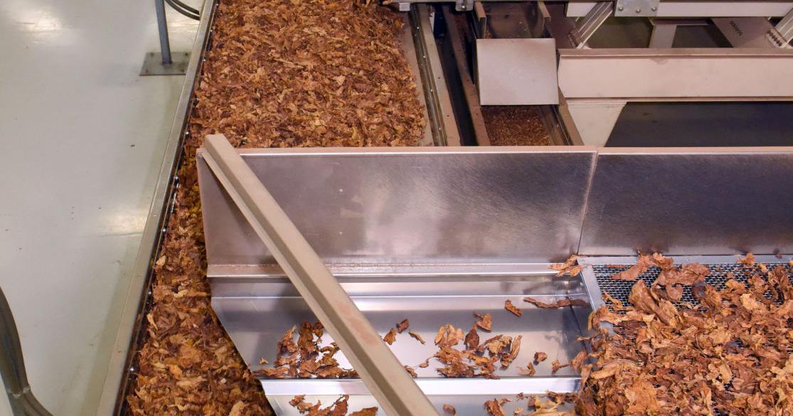 does tobacco raise your blood sugar The daily routine for millions with diabetes worldwide includes checking their  blood sugar, managing diet, taking medicines, tracking blood pressure and  managing cholesterol. However, experts say that many treat smoking – a