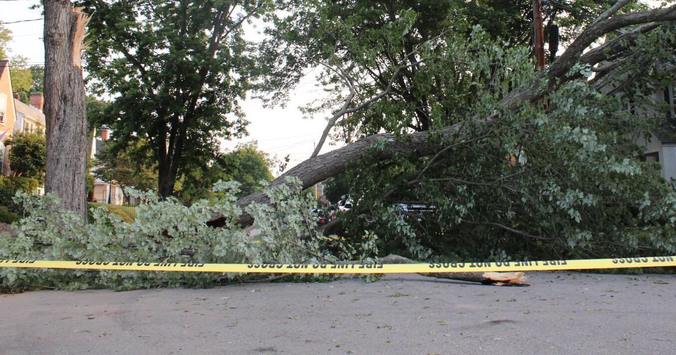 Parts of Danville still in the dark after Friday's powerful storm - Vimarsana News